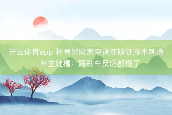 開云體育app 林肯冒險家空調凍腿到麻木刺痛！車主吐槽：踩剎車反應都慢了